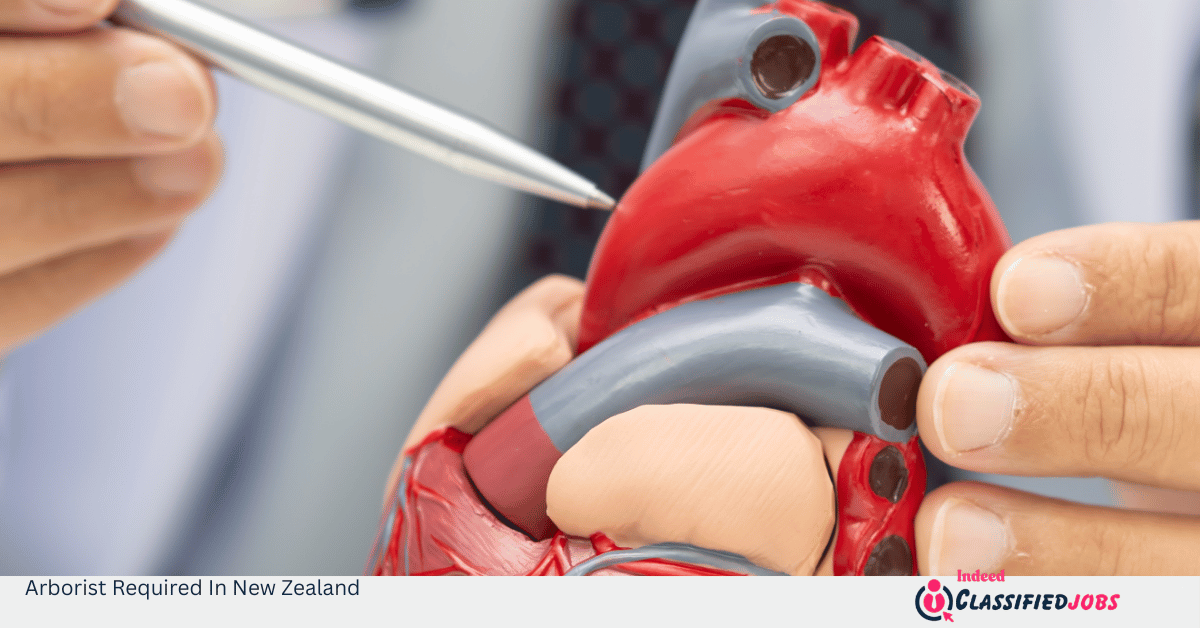 Arborist Required In New Zealand