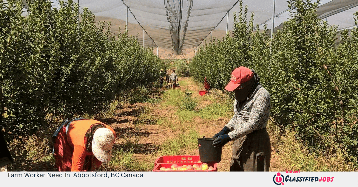 Farm Worker Need In Abbotsford, BC Canada