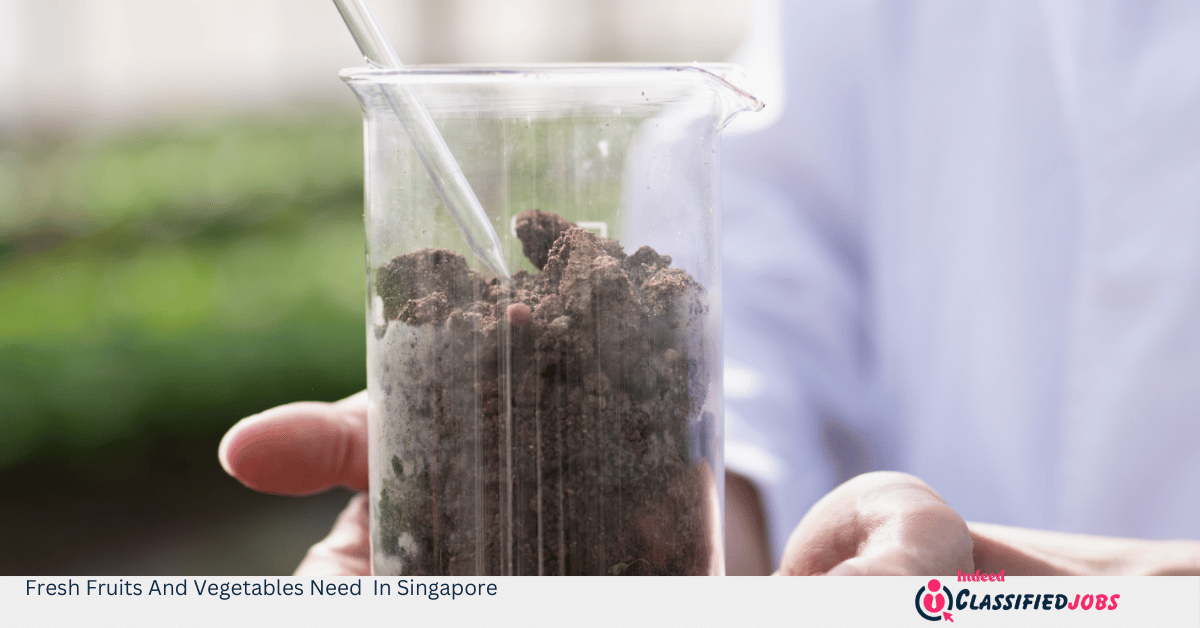Fresh Fruits And Vegetables Need In Singapore