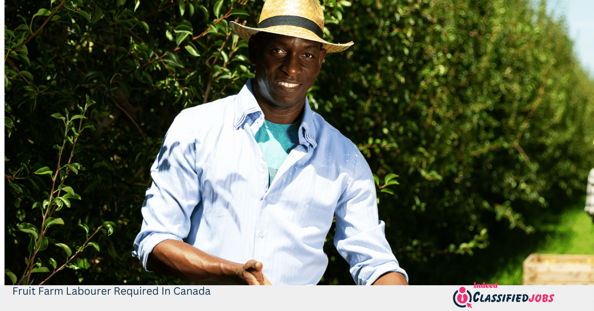 Fruit Farm Labourer Required In Canada